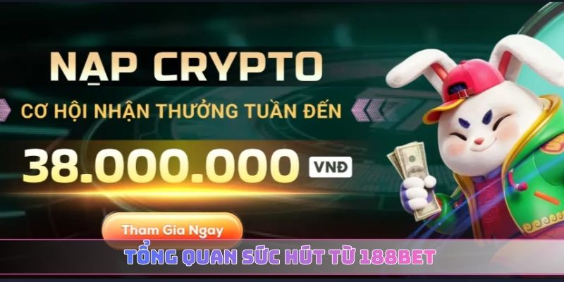 Tổng quan sức hút từ 188BET