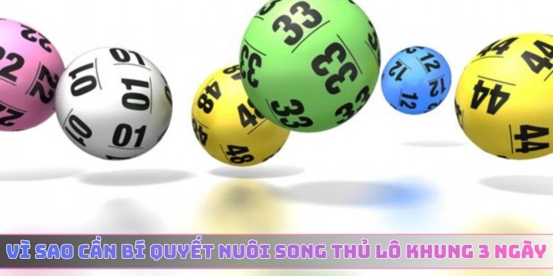 Vì sao cần có bí quyết nuôi song thủ lô khung 3 ngày