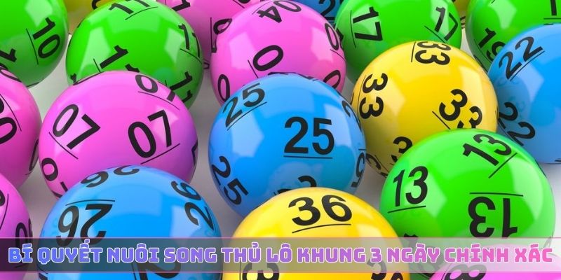 Bí quyết nuôi song thủ lô khung 3 ngày chính xác