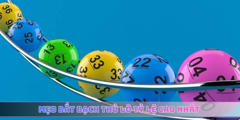 Mẹo bắt bạch thủ lô tỷ lệ cao nhất