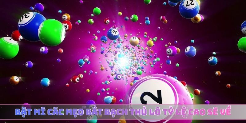 Bật mí các mẹo bắt bạch thủ lô tỷ lệ cao sẽ về